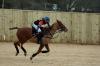 Oxford Polo 2023_01_08 0012